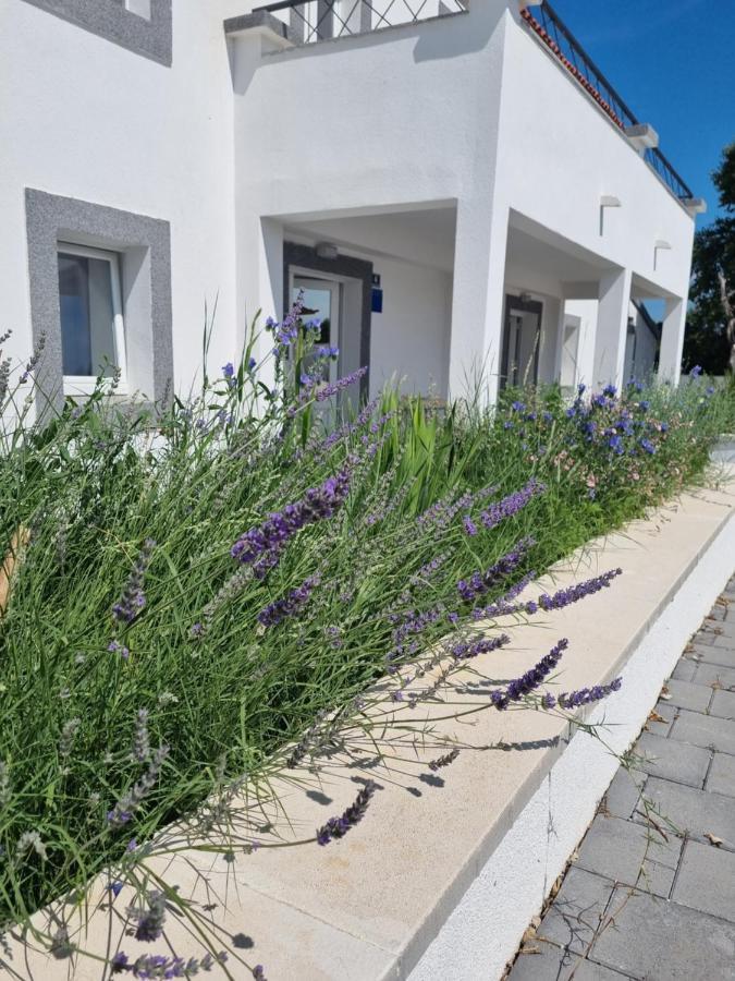 Olana Zadar